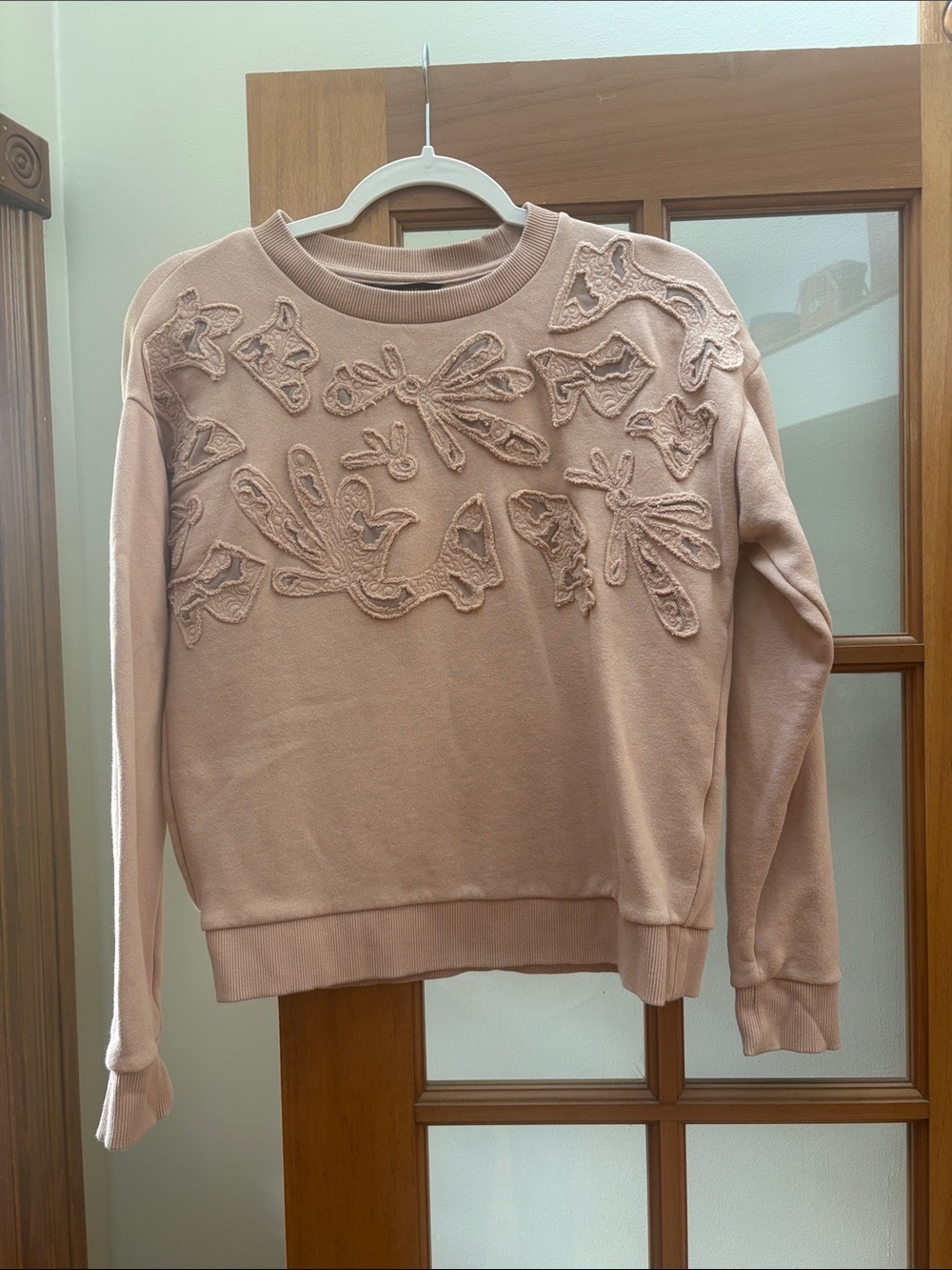 Banana Republic Blush Embroidered Crewneck Sweatshirt
